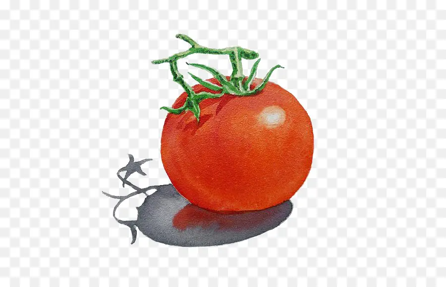 Tomate，Rojo PNG