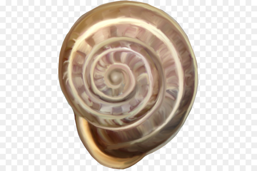 Caracol De Mar，Concha PNG