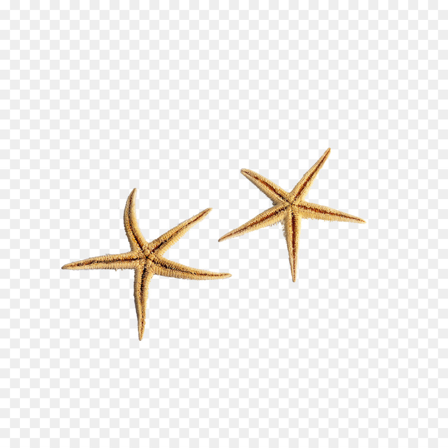 Estrella De Mar，U534au5bfcu4f53u6fc0u5149 PNG