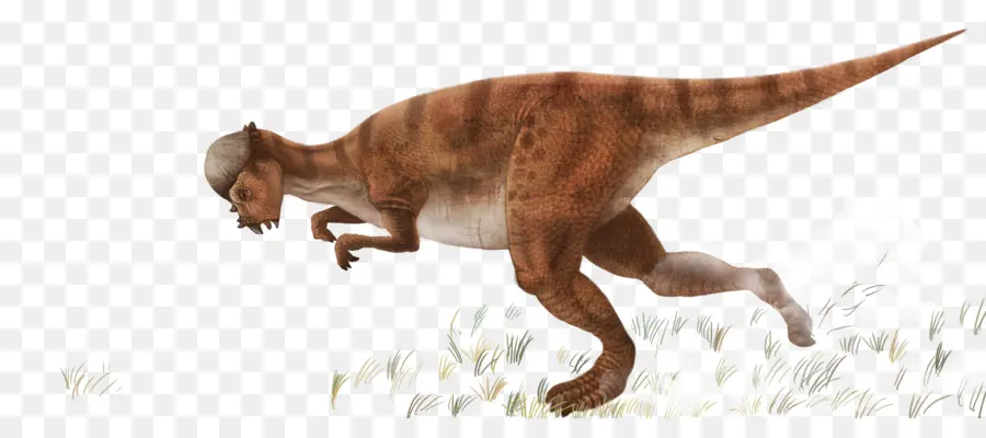 Dinosaurio，Prehistórico PNG