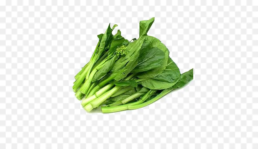 Bok Choi，Verde PNG