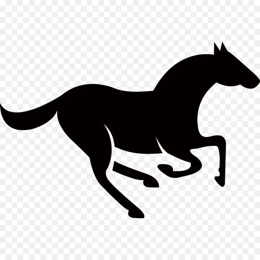 Silueta De Caballo Negro，Equino PNG