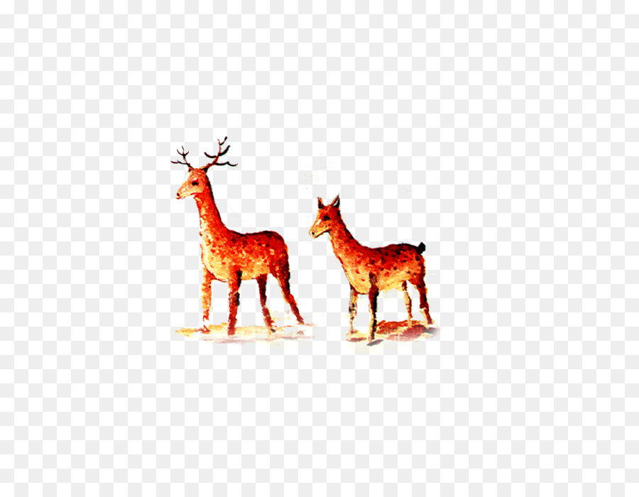 Reindeer，Jirafa PNG