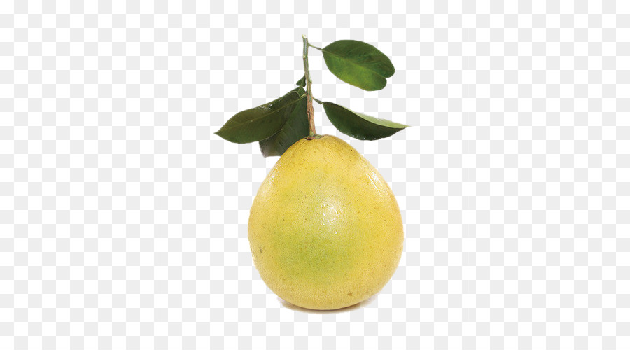 Citron，El Pomelo PNG