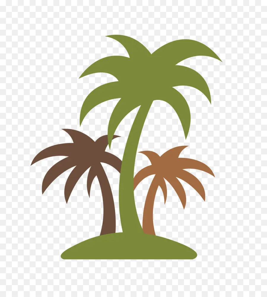 Arecaceae，Coco PNG