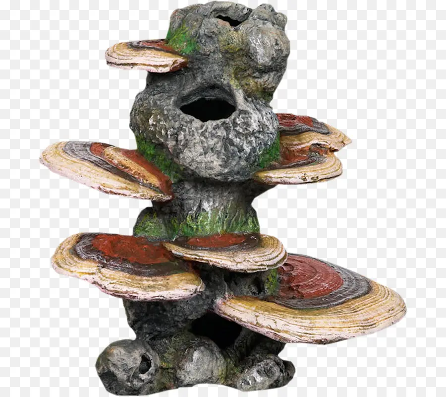 árbol，Descargar PNG