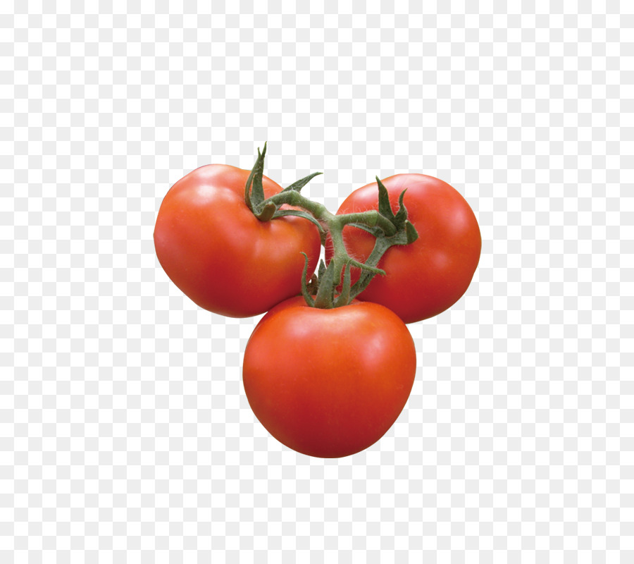 Tomate Ciruela，Tomate PNG