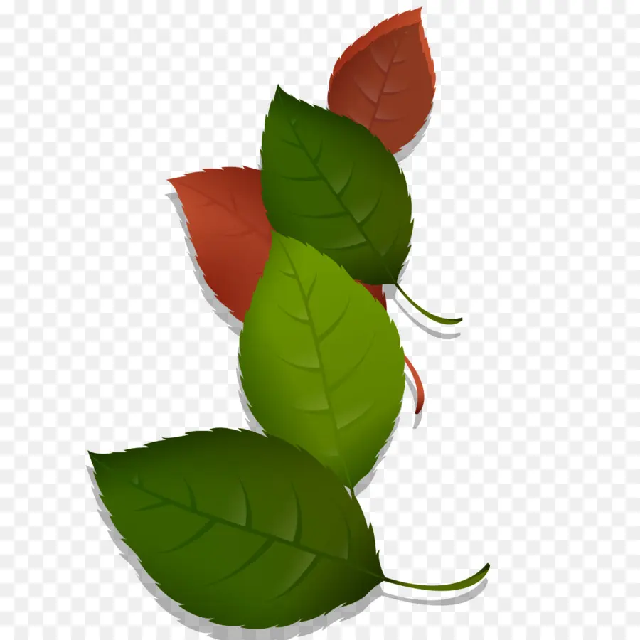 Hojas，Verde PNG