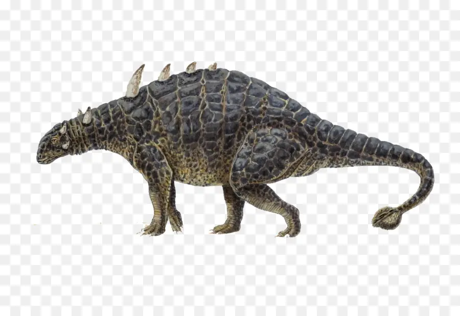 Euoplocephalus，Ankylosaurus PNG