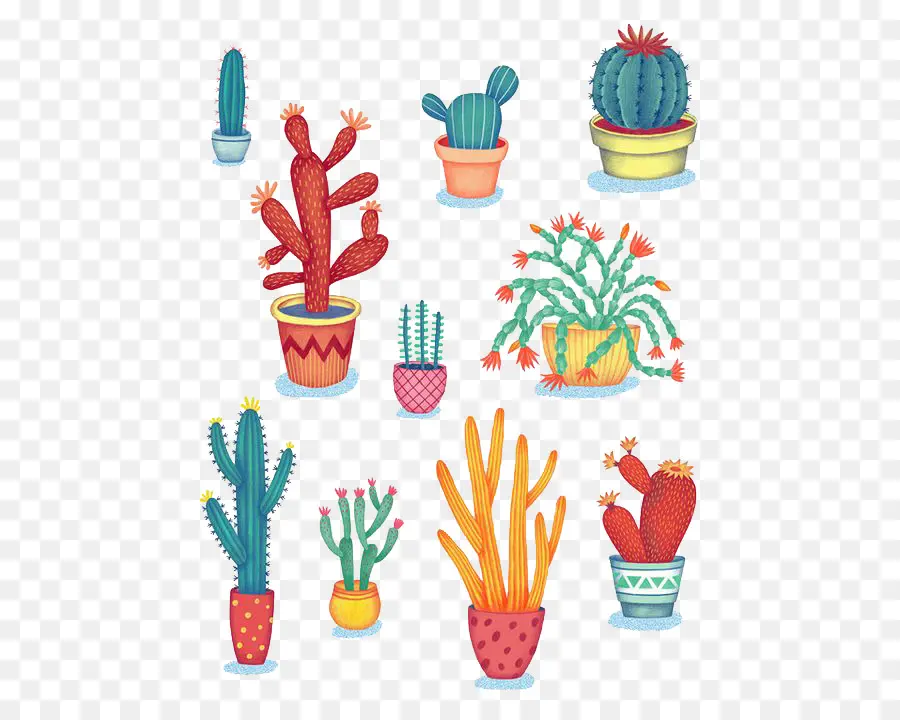 Cactus Coloridos，Plantas PNG