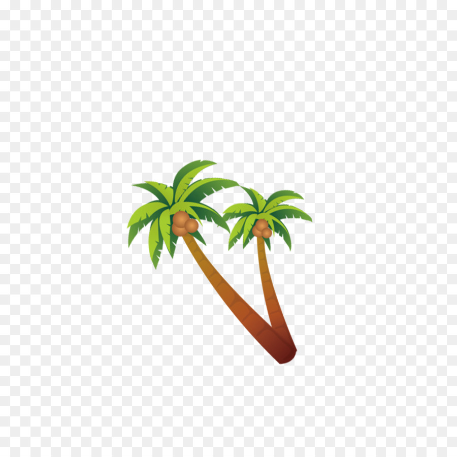 Coco，Verano PNG