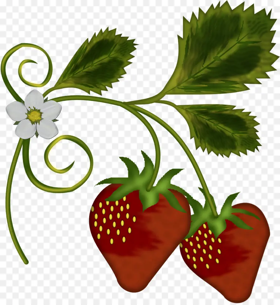 Fresas，Hojas PNG