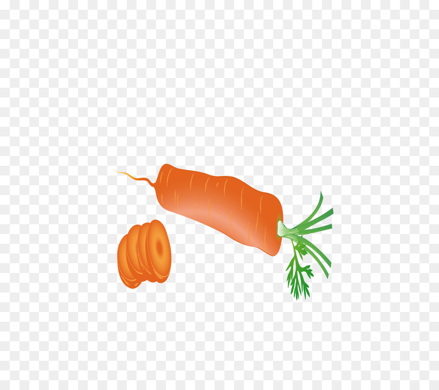 Zanahoria，Descargar PNG
