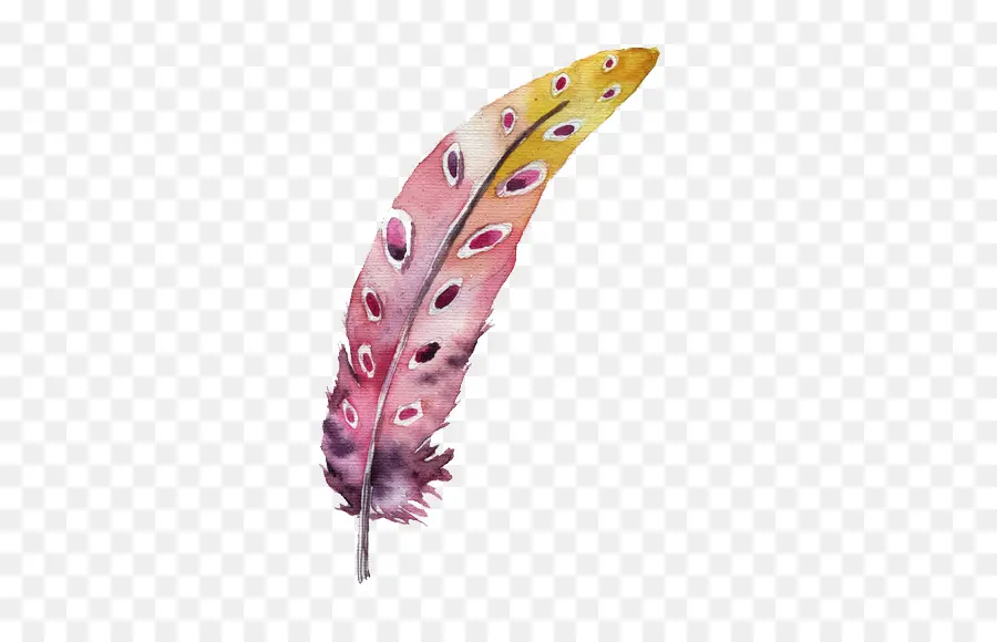 Pluma，Pintura De Acuarela PNG