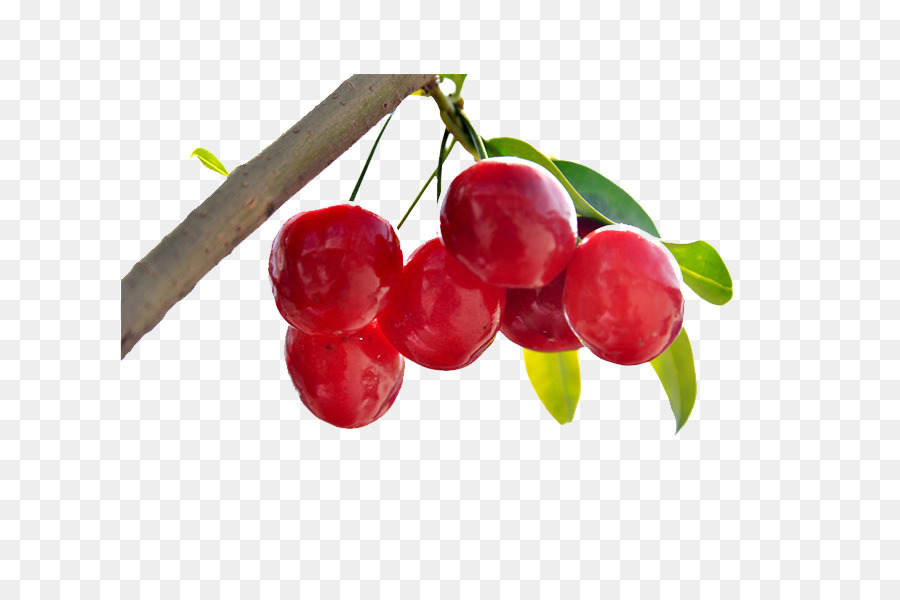 Cherry，Berry PNG