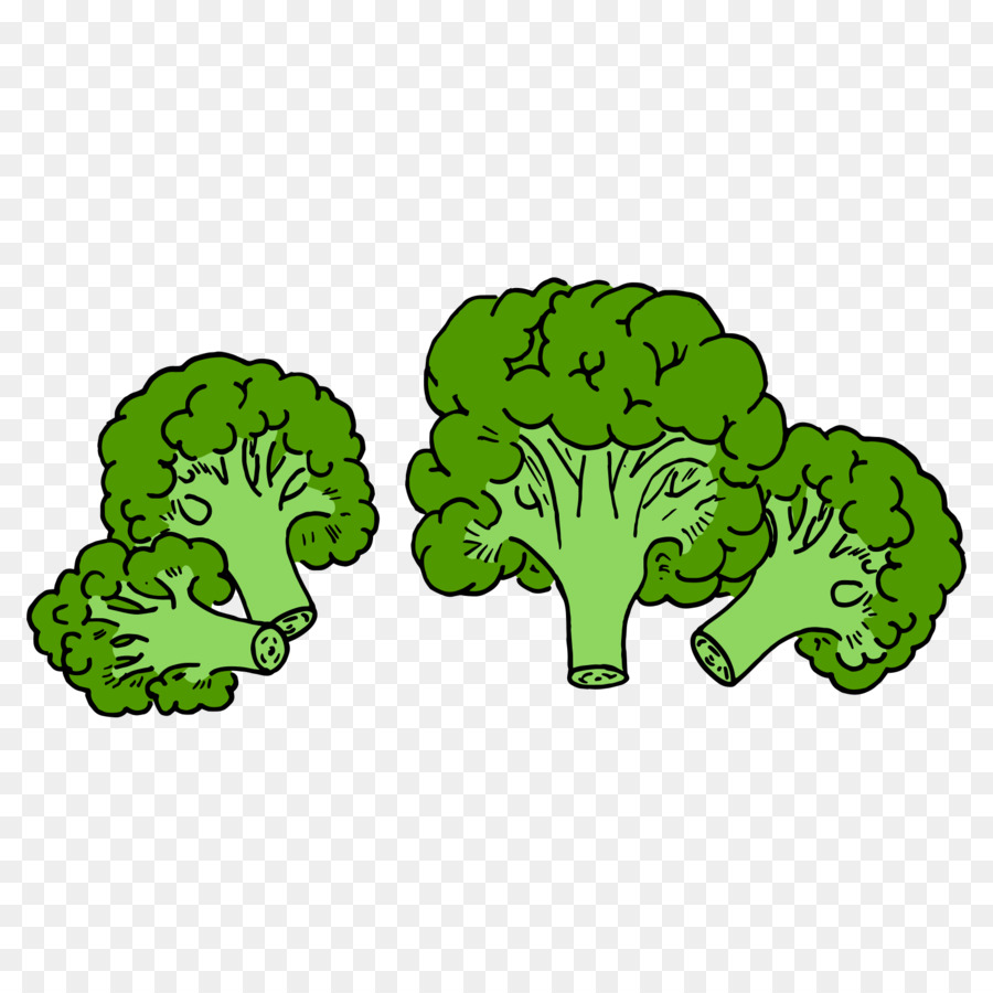 Brócoli，Vegetal PNG