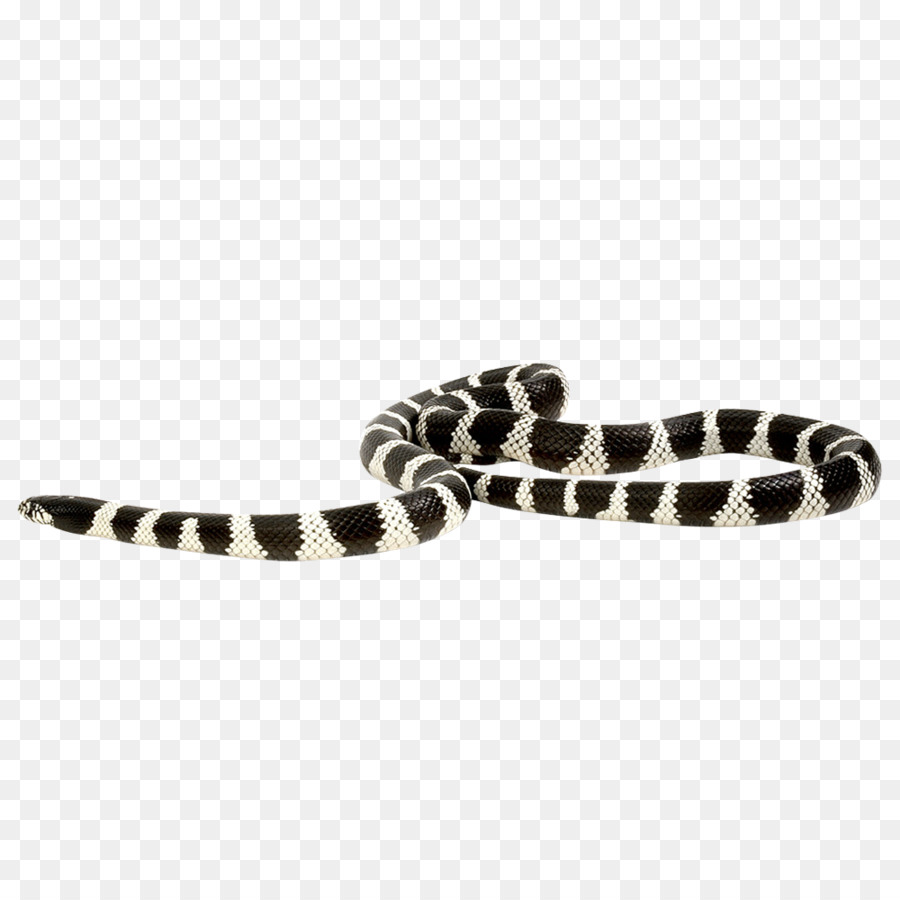 La Serpiente，Reptiles PNG