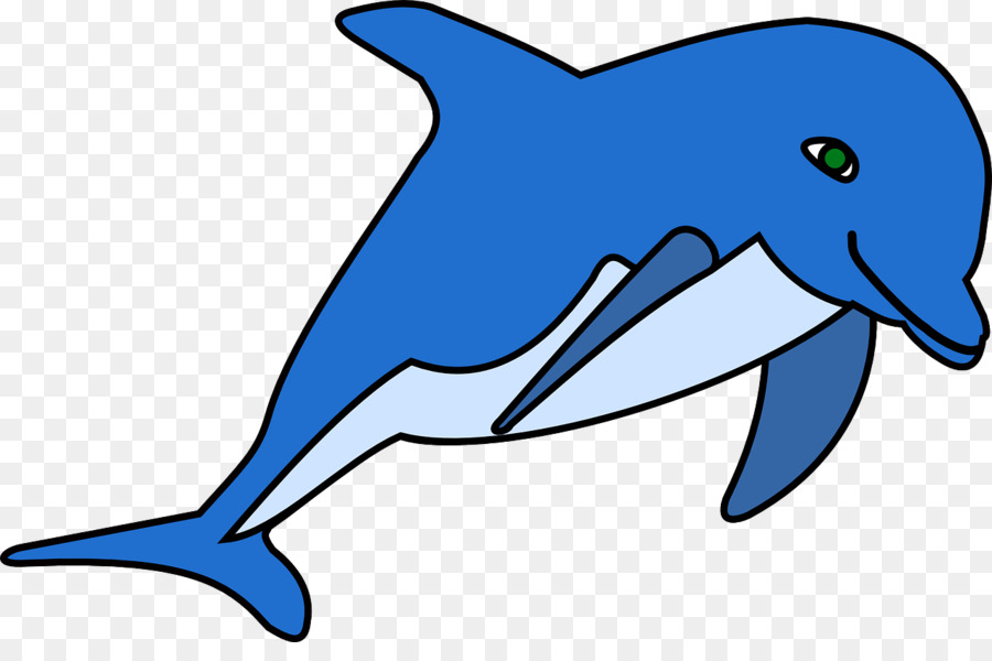 Dolphin，Libre De Contenido PNG
