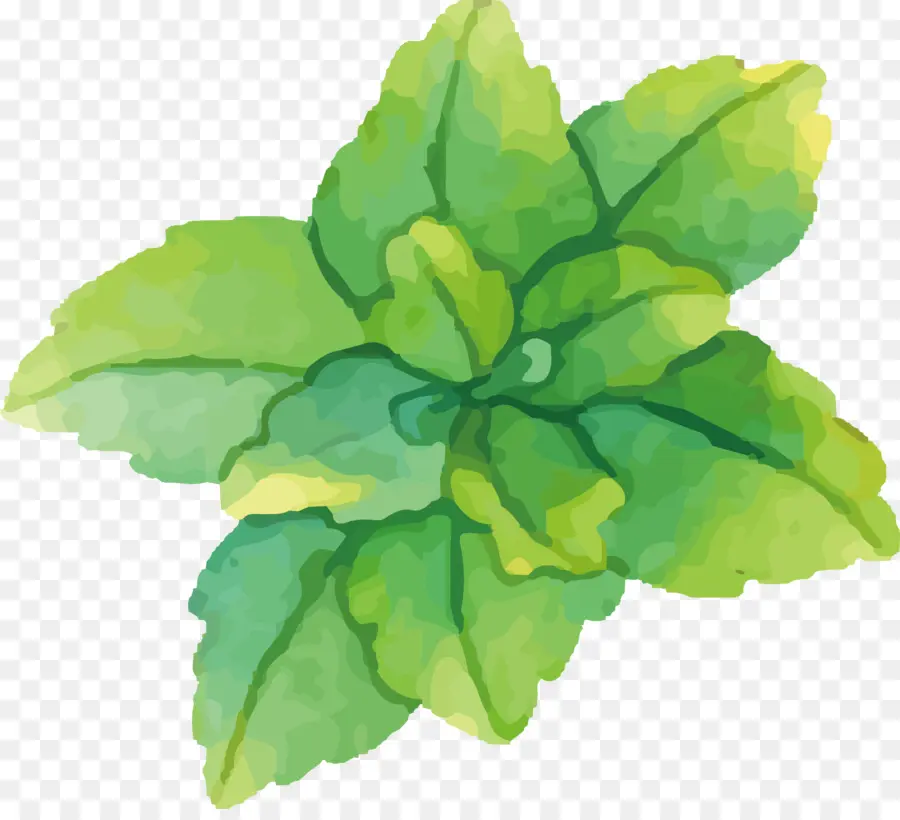 Pintura A La Acuarela，Verde PNG