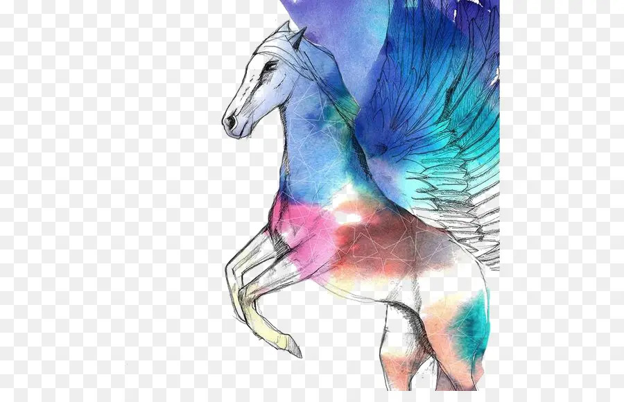 Caballo，Pintura A La Acuarela PNG