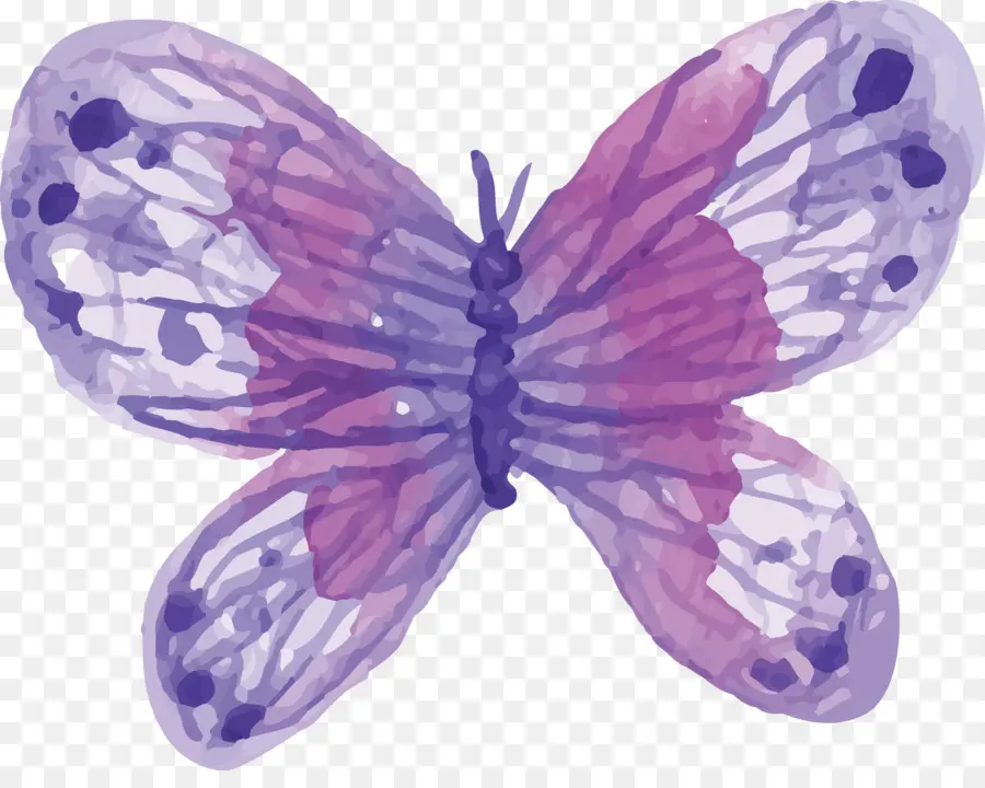 Mariposa，Pintura A La Acuarela PNG