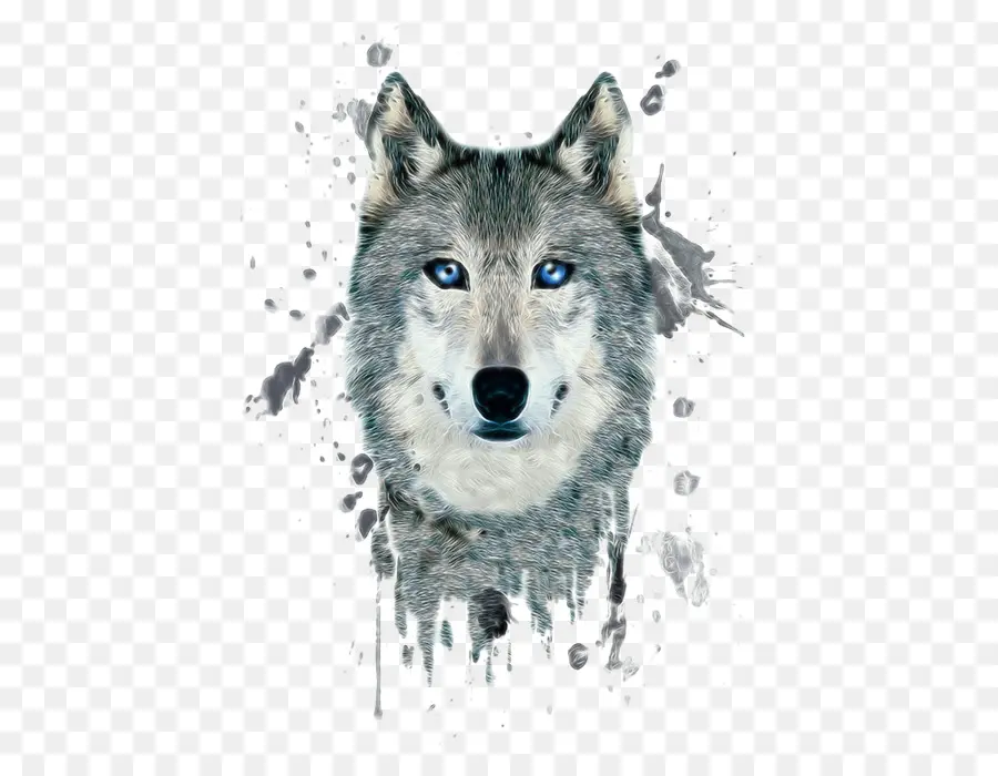 Lobo，Canino PNG