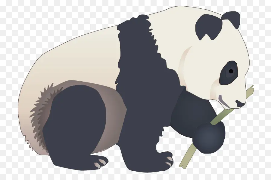 El Panda Gigante，El Panda Rojo PNG