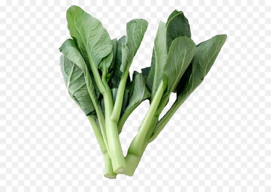 Bok Choi，Verde PNG