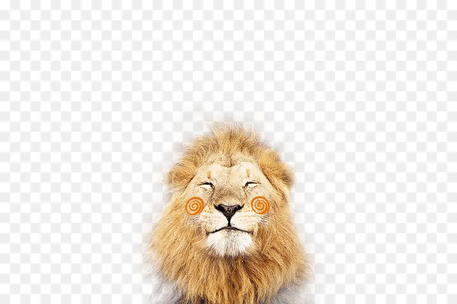 León，Lionhead Conejo PNG