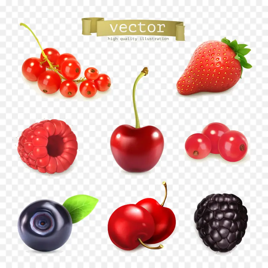 Jugo，Berry PNG