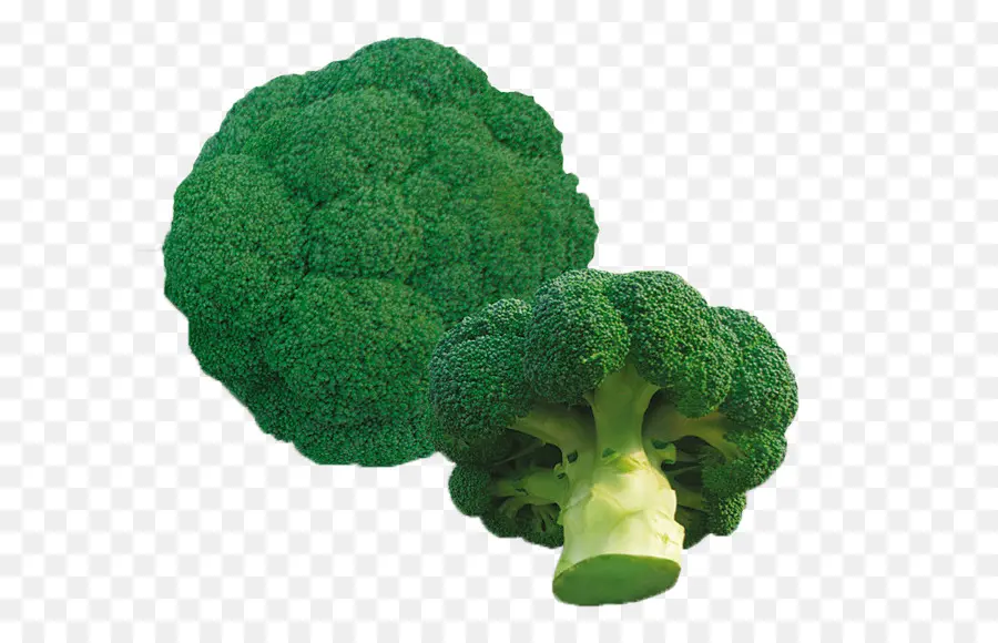 Brócoli，Verde PNG