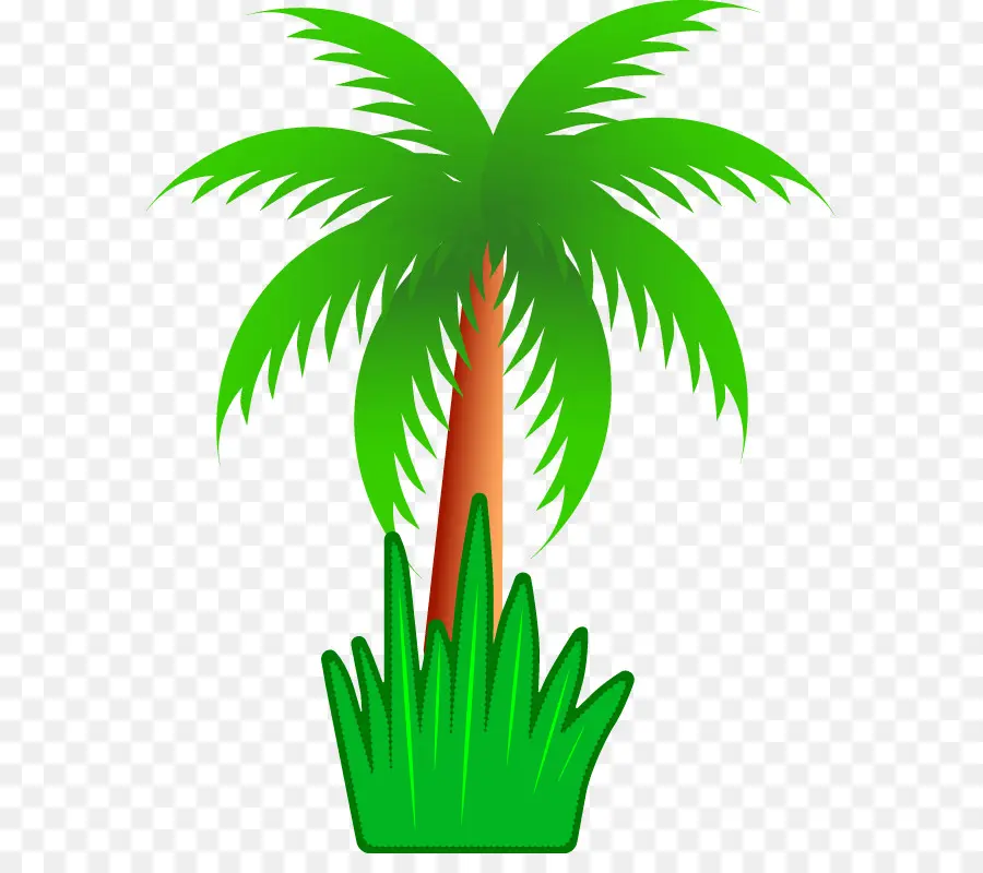 Palmera，Coco PNG