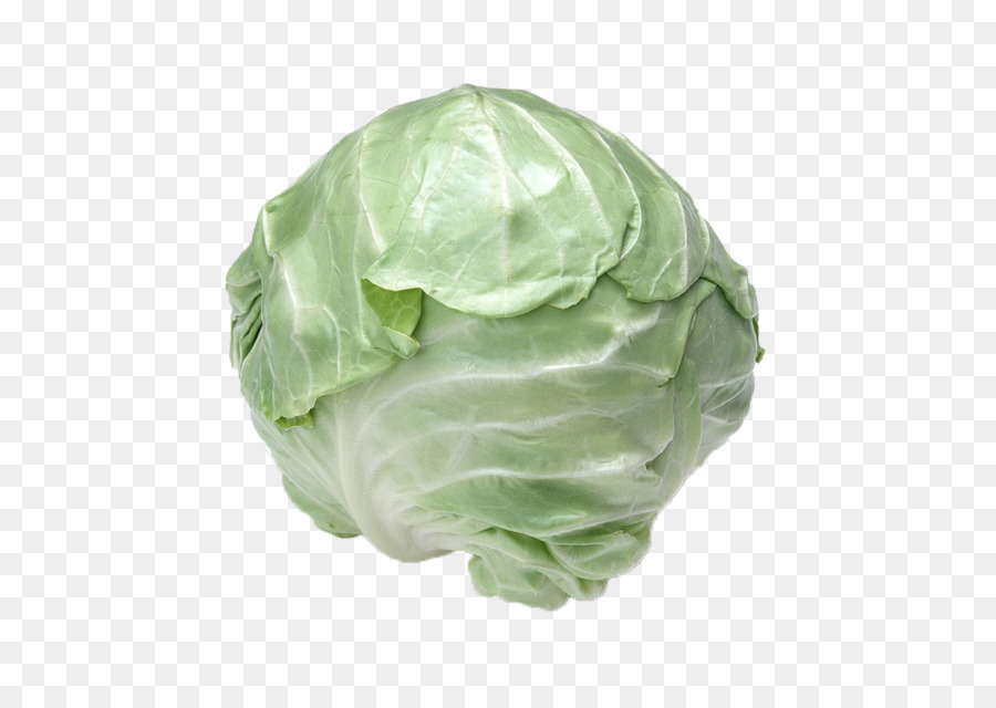 Cabbage，Red Cabbage PNG