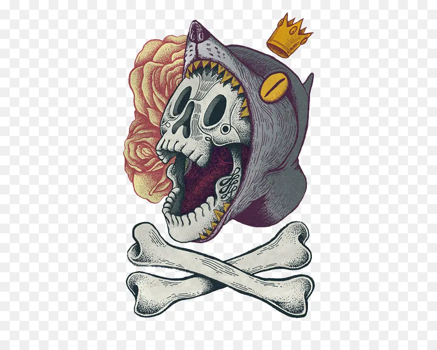 Cráneo，Calavera PNG