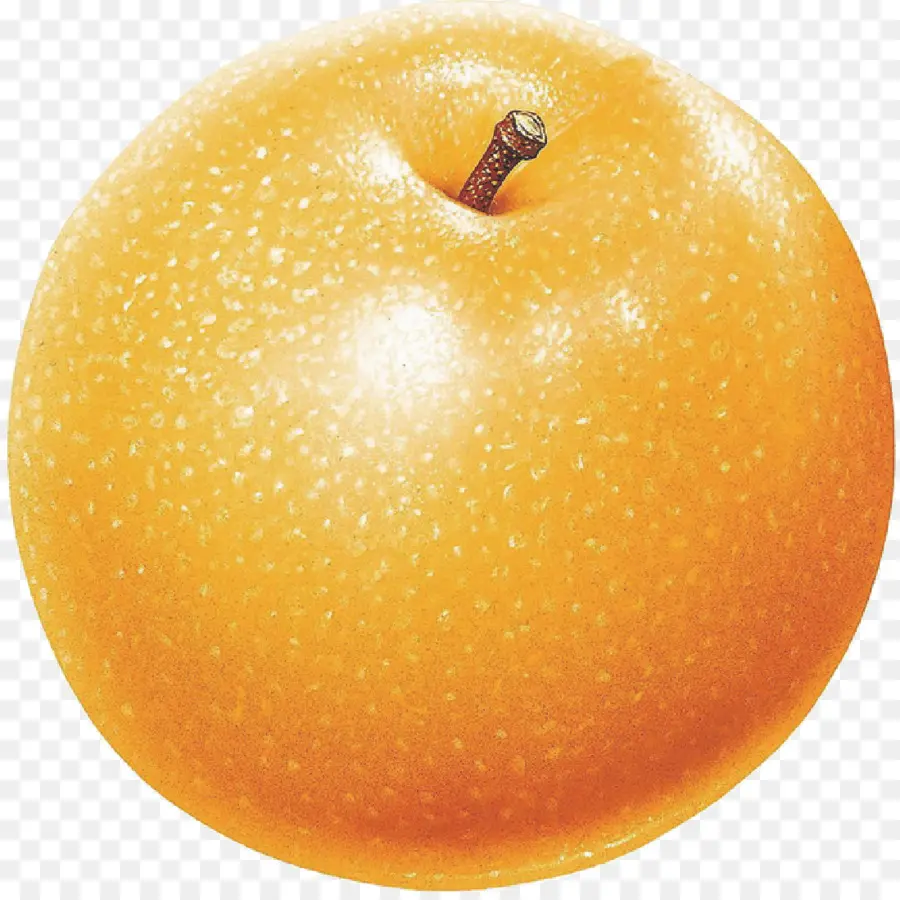 Fruta Naranja，Agrios PNG