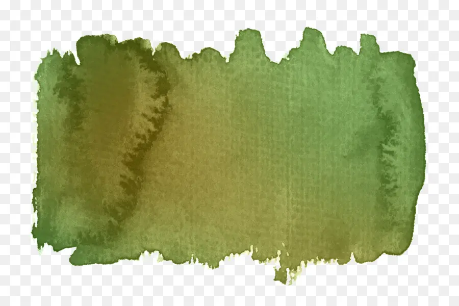 Verde，La Hierba PNG