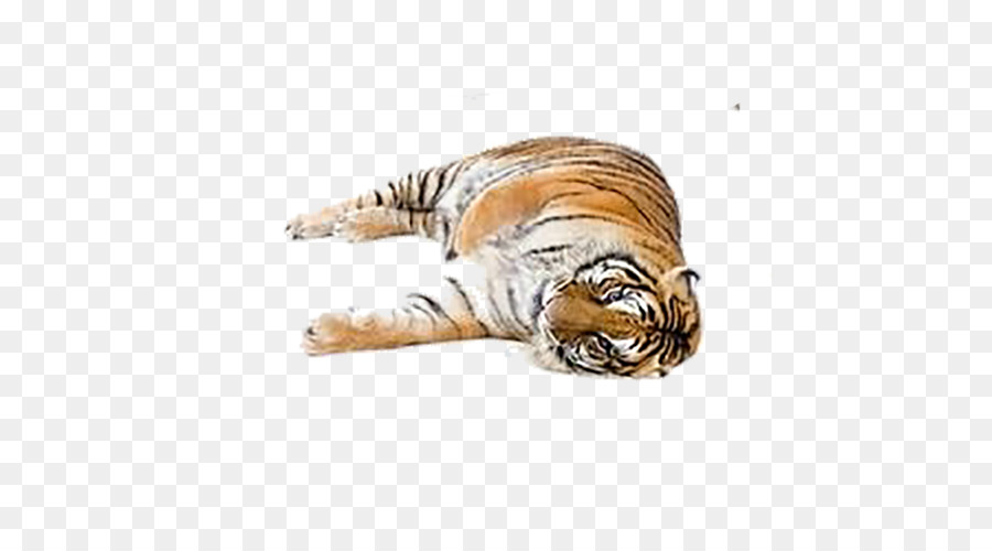 Tigre，Felidae PNG