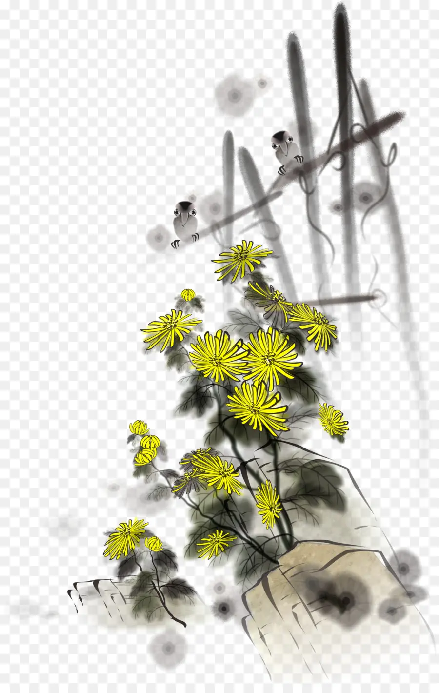 Crisantemo Xd7grandiflorum，Chrysanthemum Indicum PNG