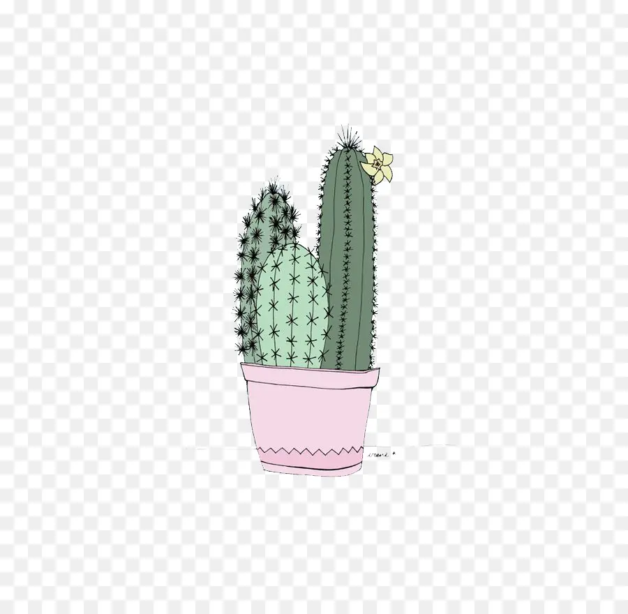 Cactaceae，La Pantalla De Bloqueo PNG