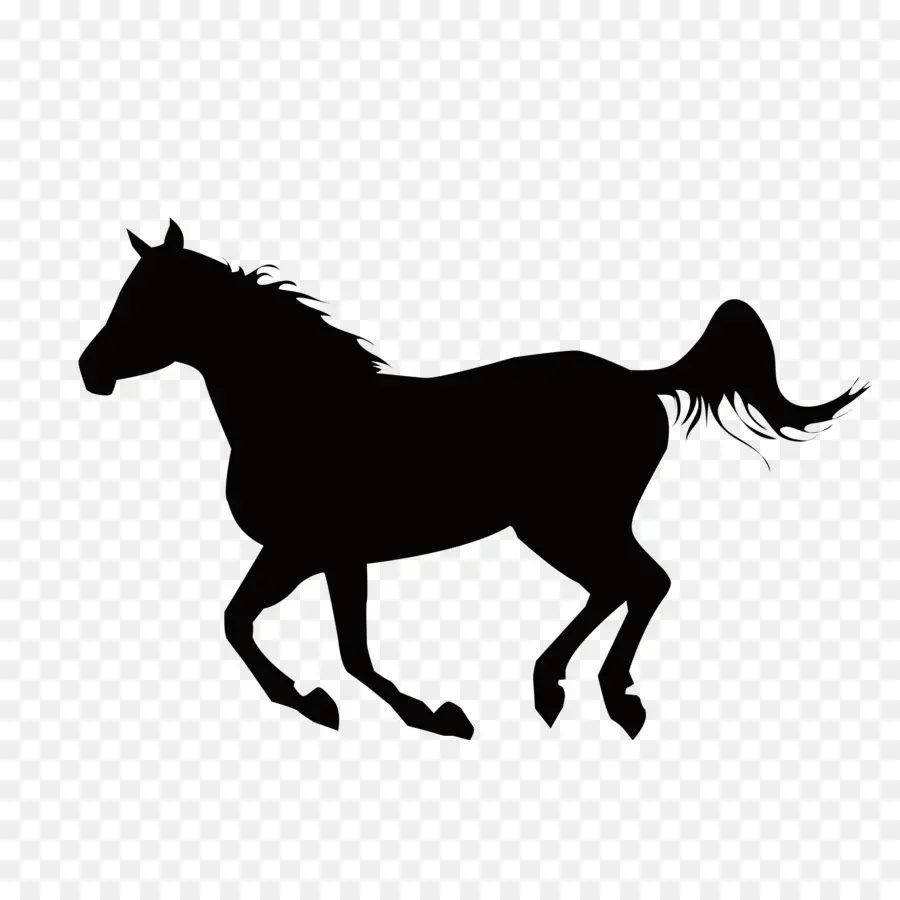 Silueta De Caballo Negro，Equino PNG