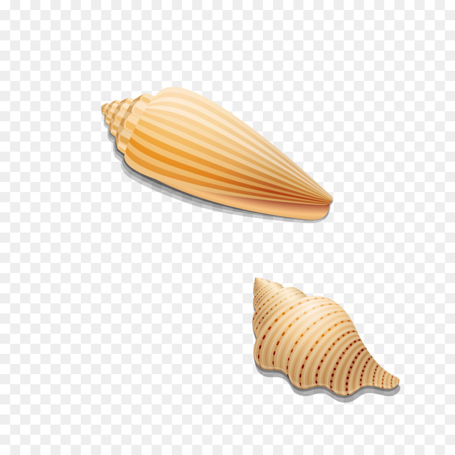 Concha，Cono De Helado PNG