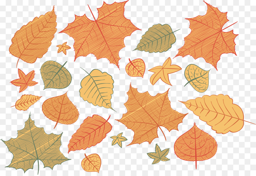 Hojas De Otoño，Caer PNG