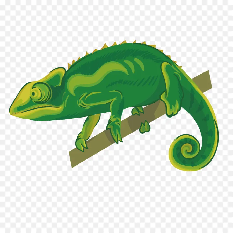 Los Camaleones，Reptiles PNG