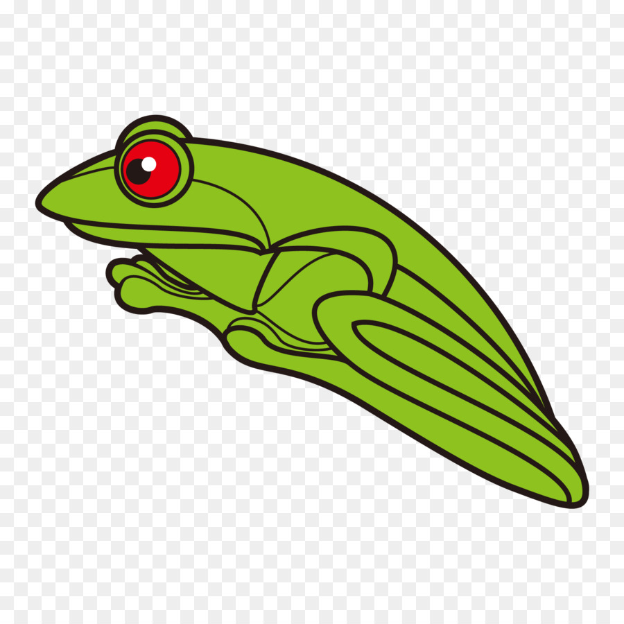 Rana，Rana De árbol PNG