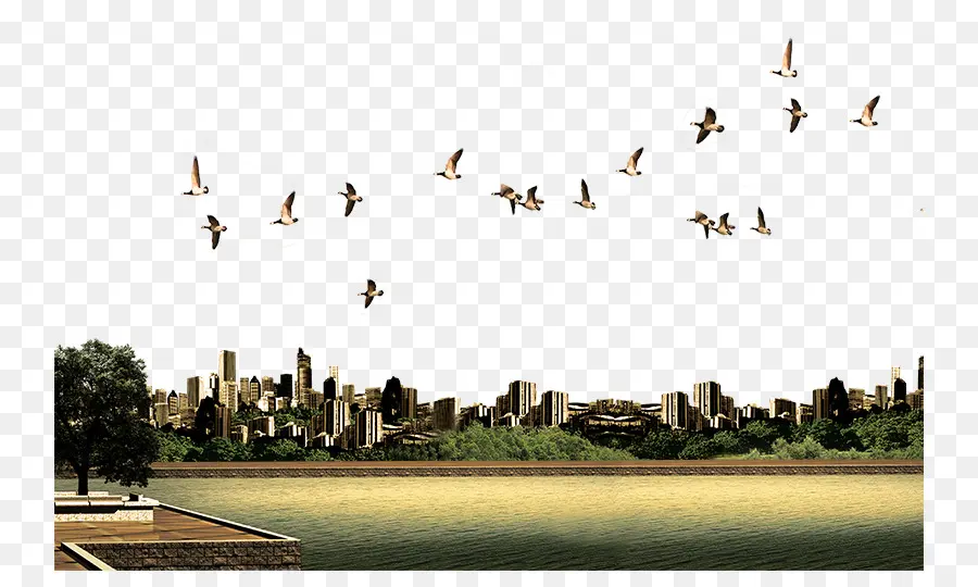 Paisaje Urbano Con Pájaros，Horizonte PNG