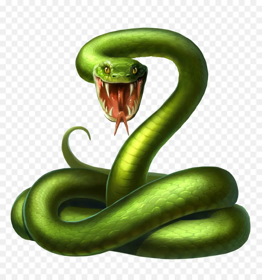 La Serpiente，Android PNG