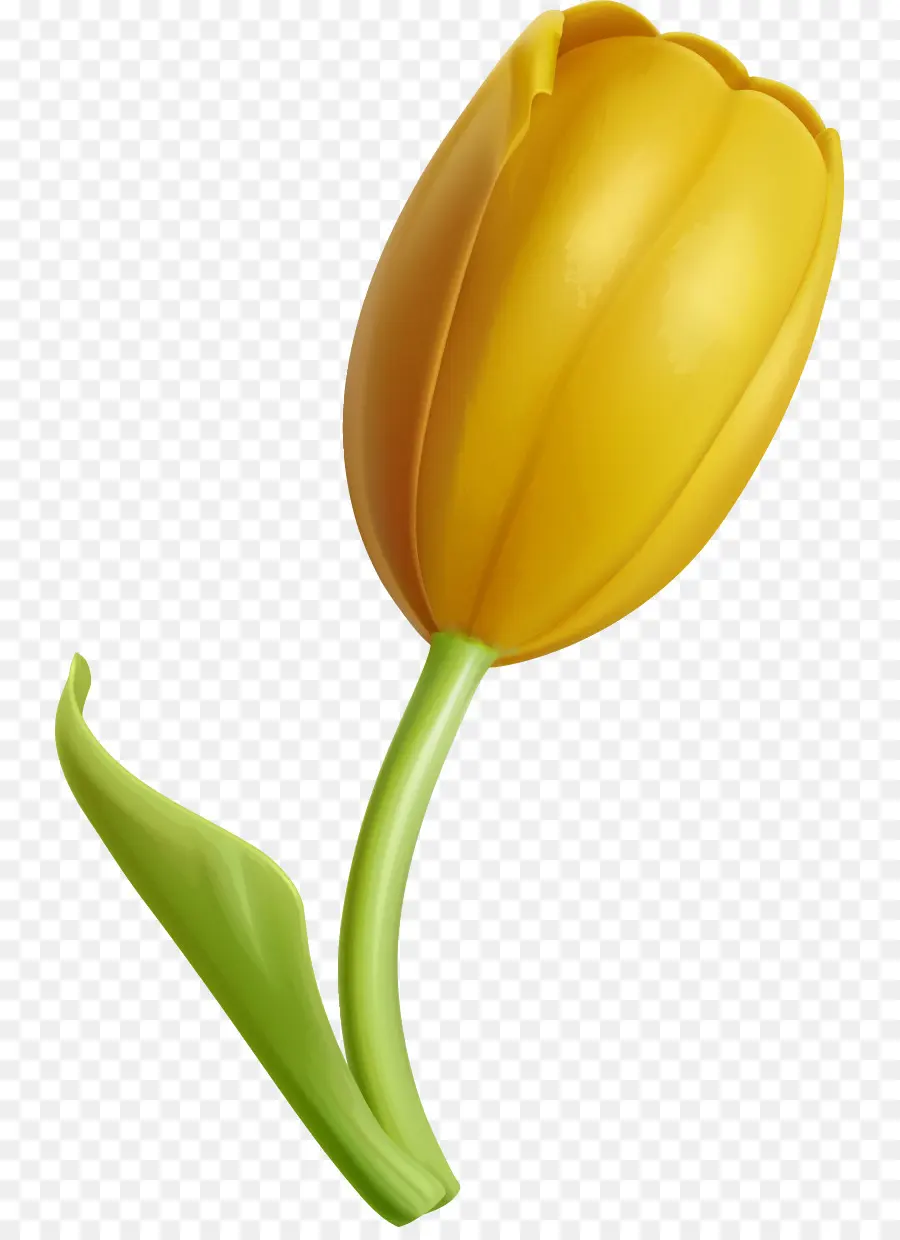 Tulipán，Amarillo PNG