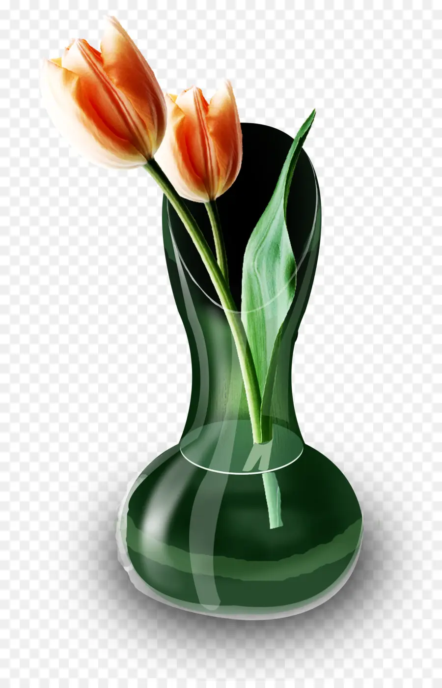 Tulip，Florero PNG