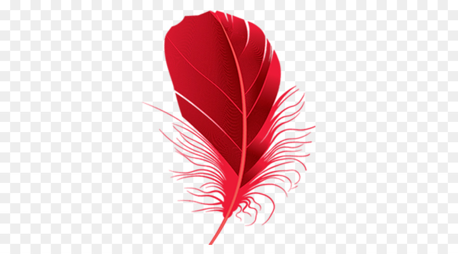 Hermosa Ilustración De Plumas Rojas PNG ,dibujos Pluma Roja