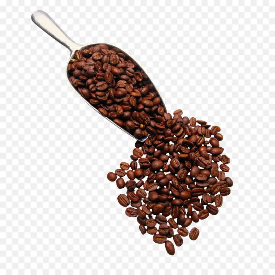 Granos De Café，Frijoles PNG